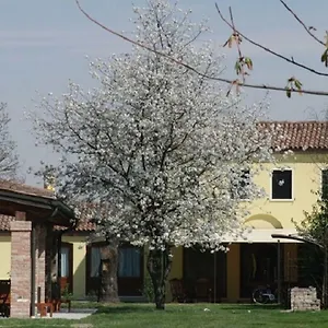 Particolari Del Brenta Oriago